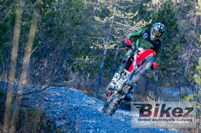 2021 Honda CRF400RX