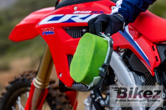 2022 Honda CRF250RX