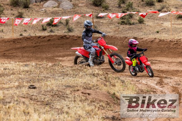 2022 Honda CRF50F