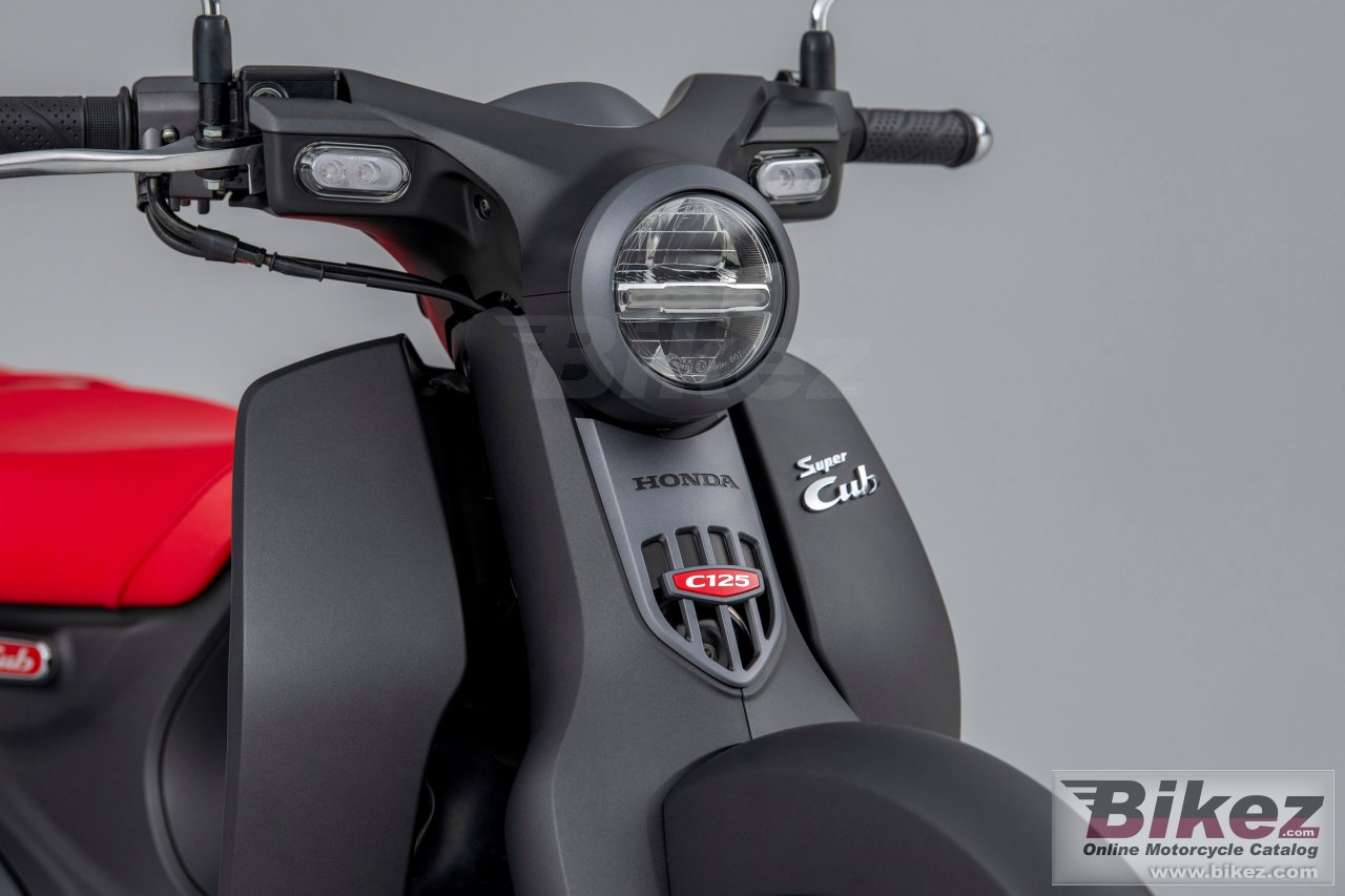 Honda Super Cub 125                                            