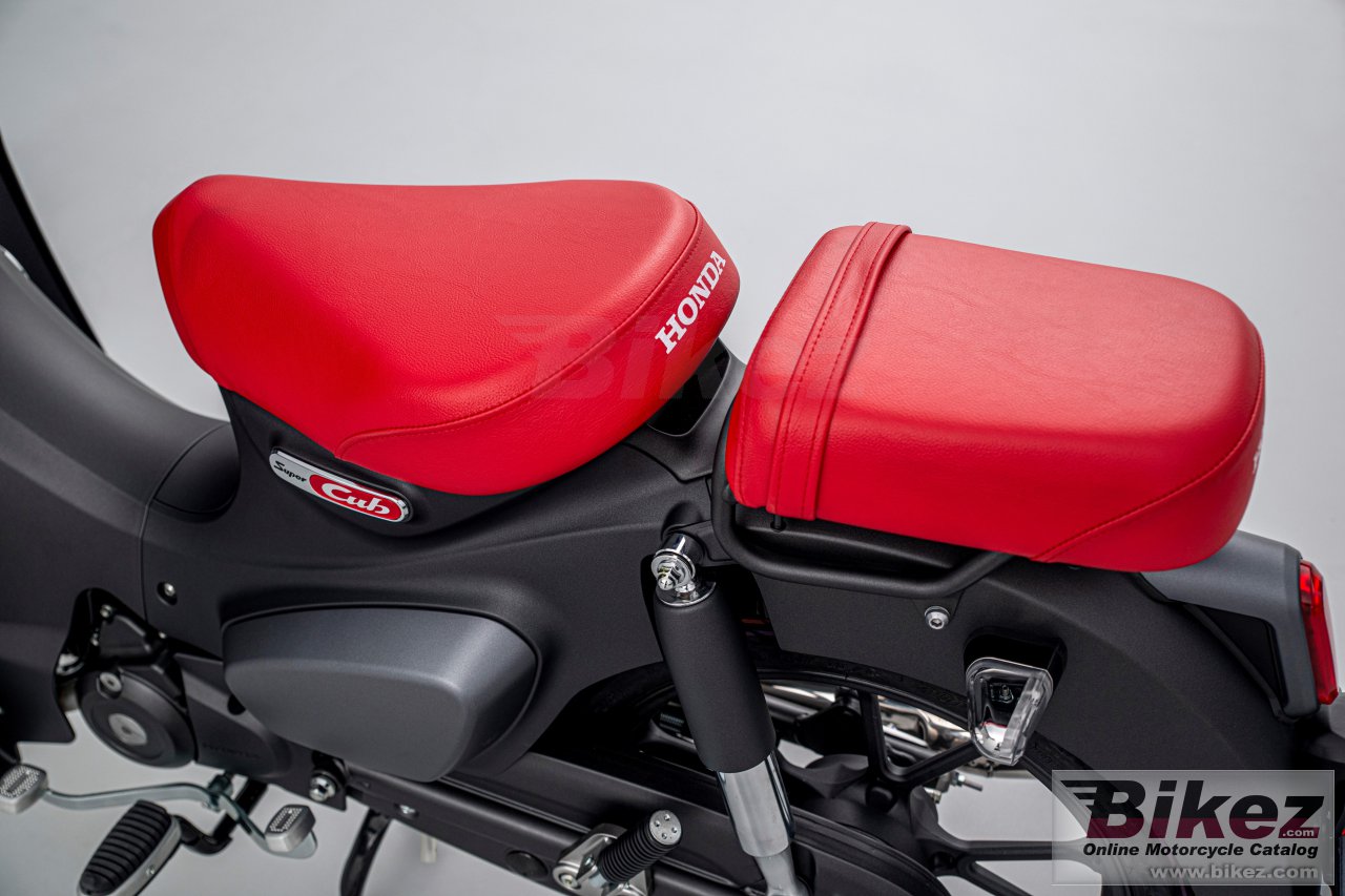 Honda Super Cub 125                                            