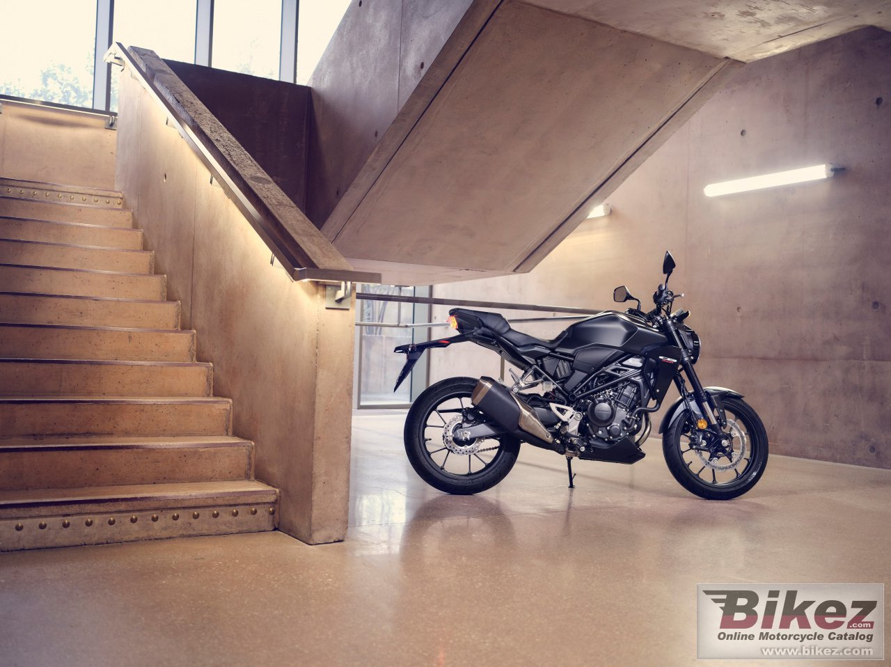 Honda CB300R Neo Sports Cafe 