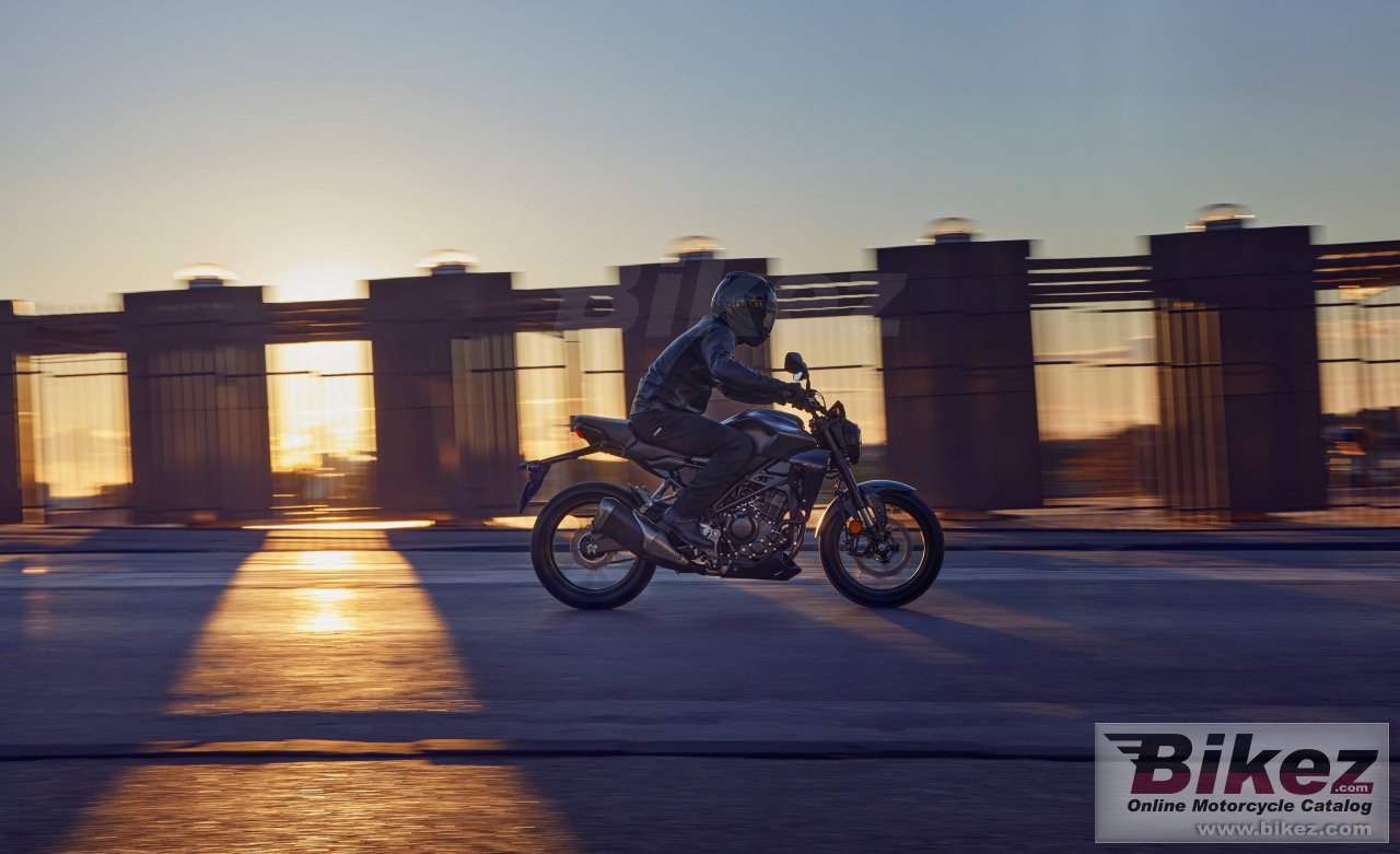 Honda CB300R Neo Sports Cafe 