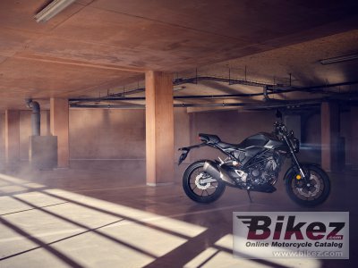 2022 Honda CB300R Neo Sports Cafe 