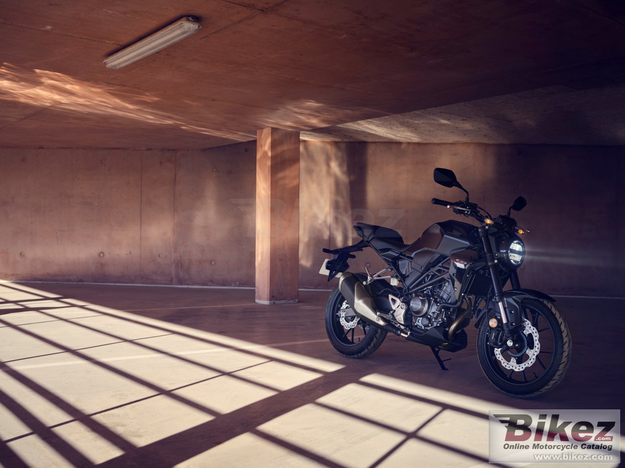 Honda CB300R Neo Sports Cafe 