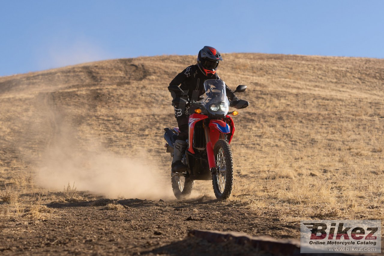 Honda CRF300L Rally