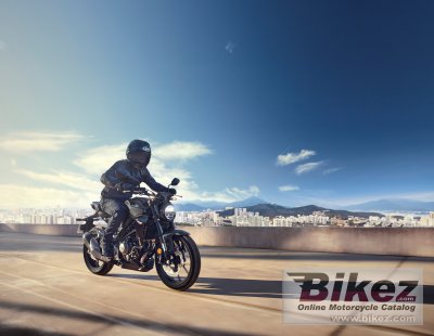 2022 Honda CB300R