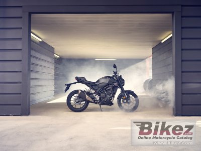 2022 Honda CB300R