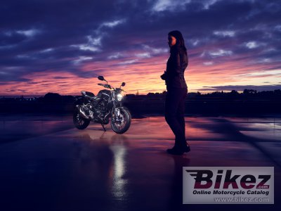 2022 Honda CB300R