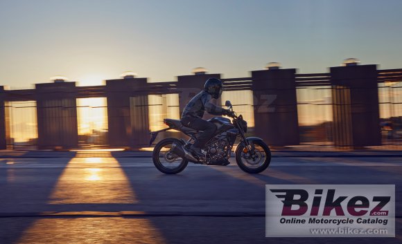 2022 Honda CB300R