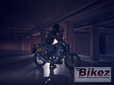 2022 Honda CB300R