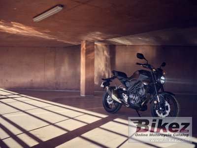 2022 Honda CB300R