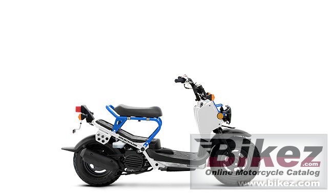 Honda Ruckus