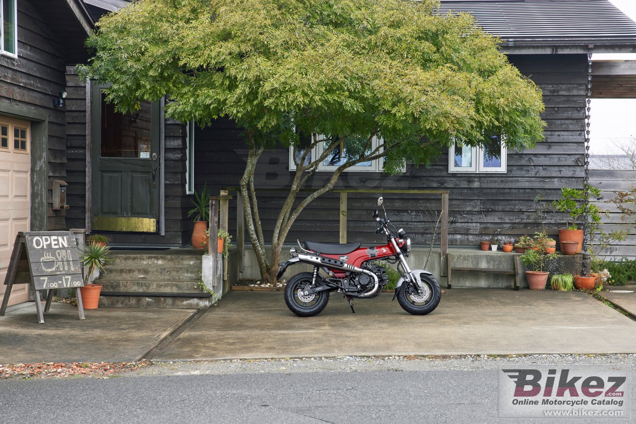 Honda Dax 125