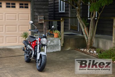 2023 Honda Dax 125