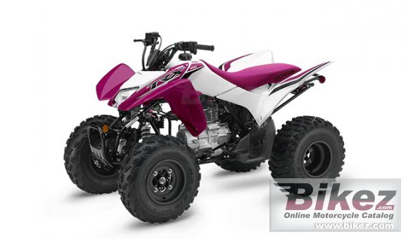 2023 Honda TRX250X