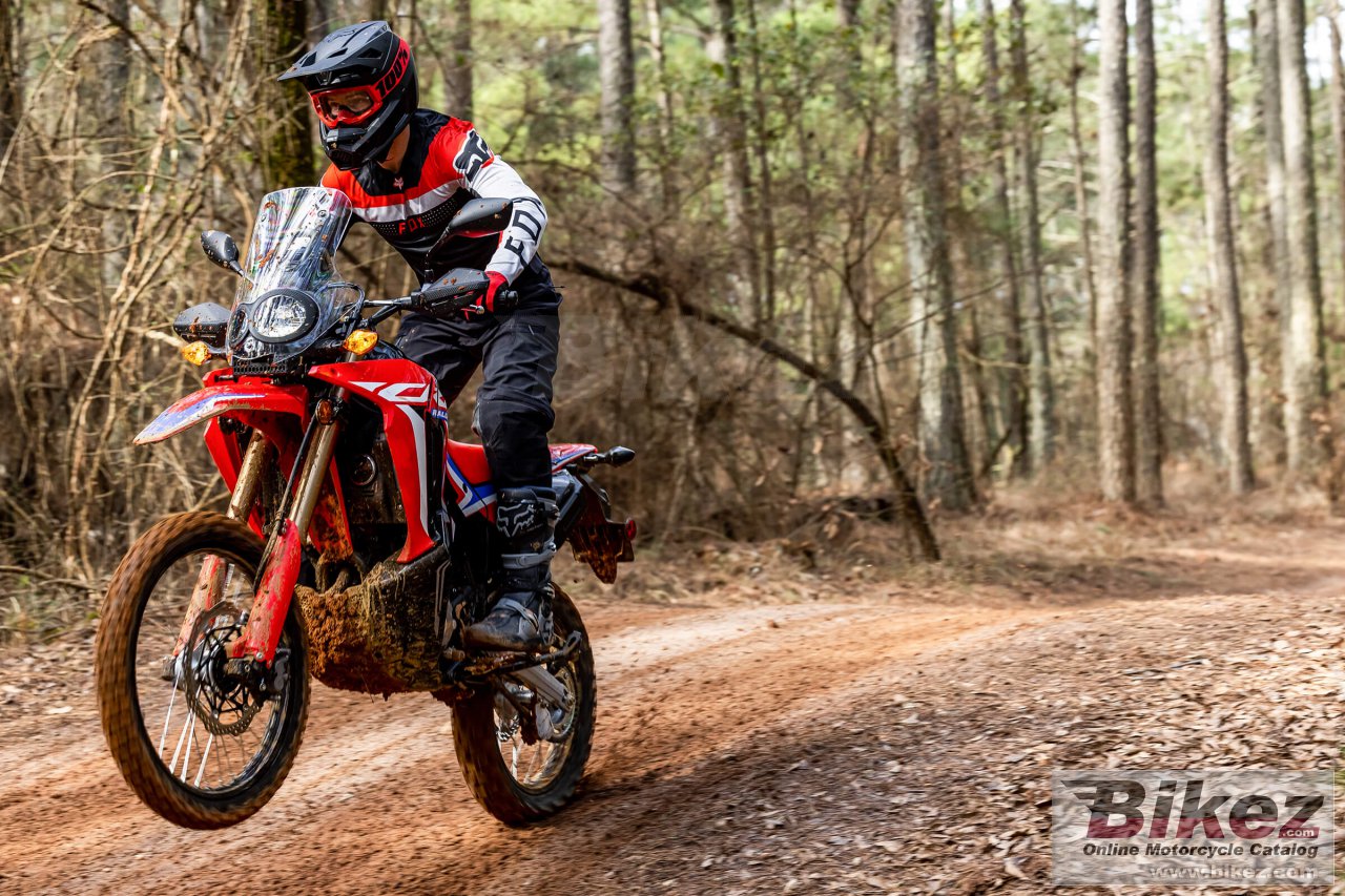 Honda CRF300L Rally