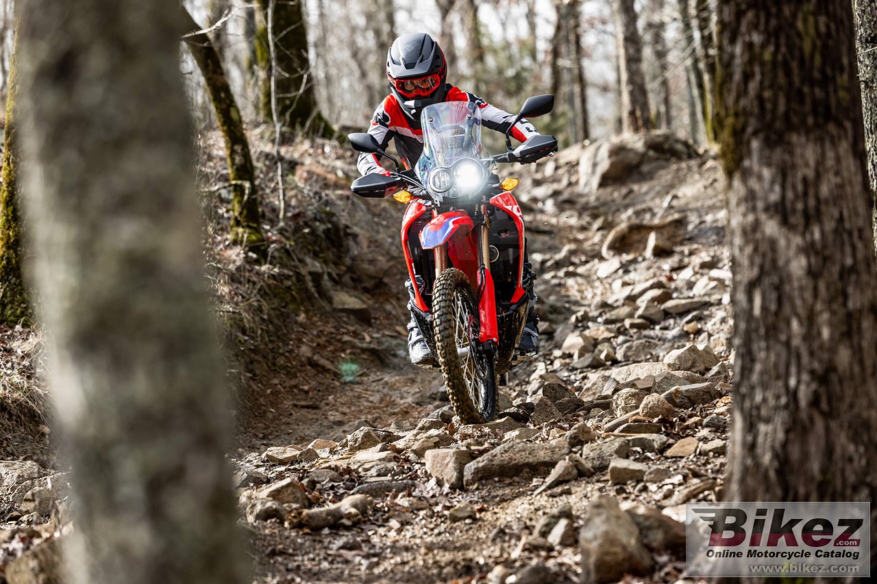 Honda CRF300L Rally