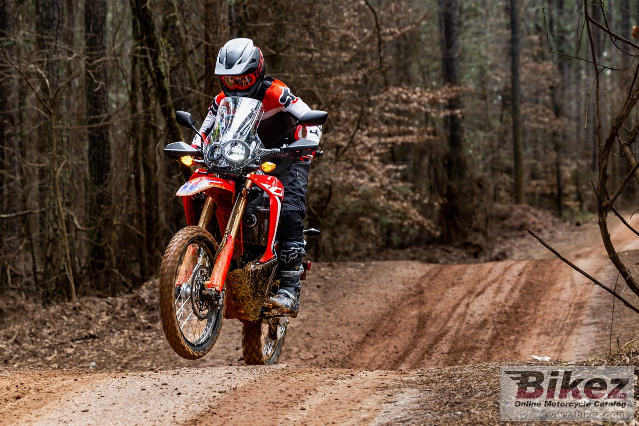 Honda CRF300L Rally