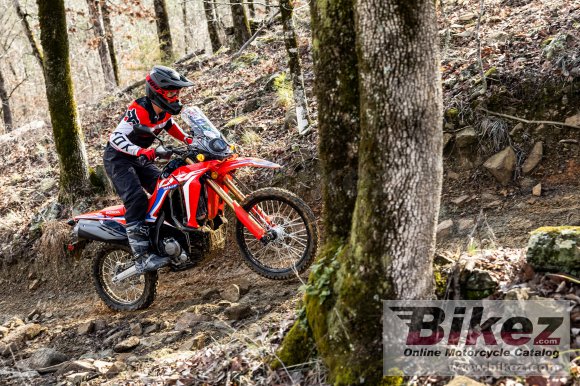 2023 Honda CRF300L Rally