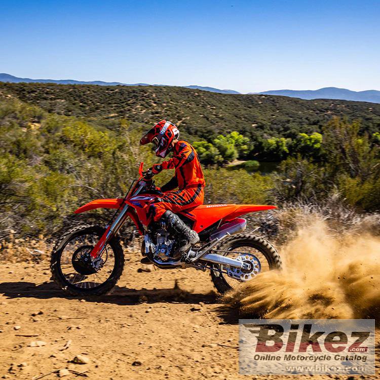 Honda CRF250RX