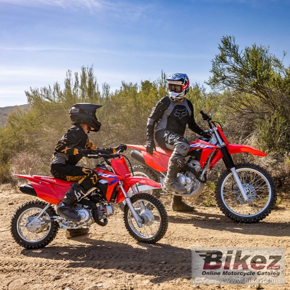 2024 Honda CRF110F