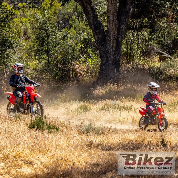 2024 Honda CRF 50 F