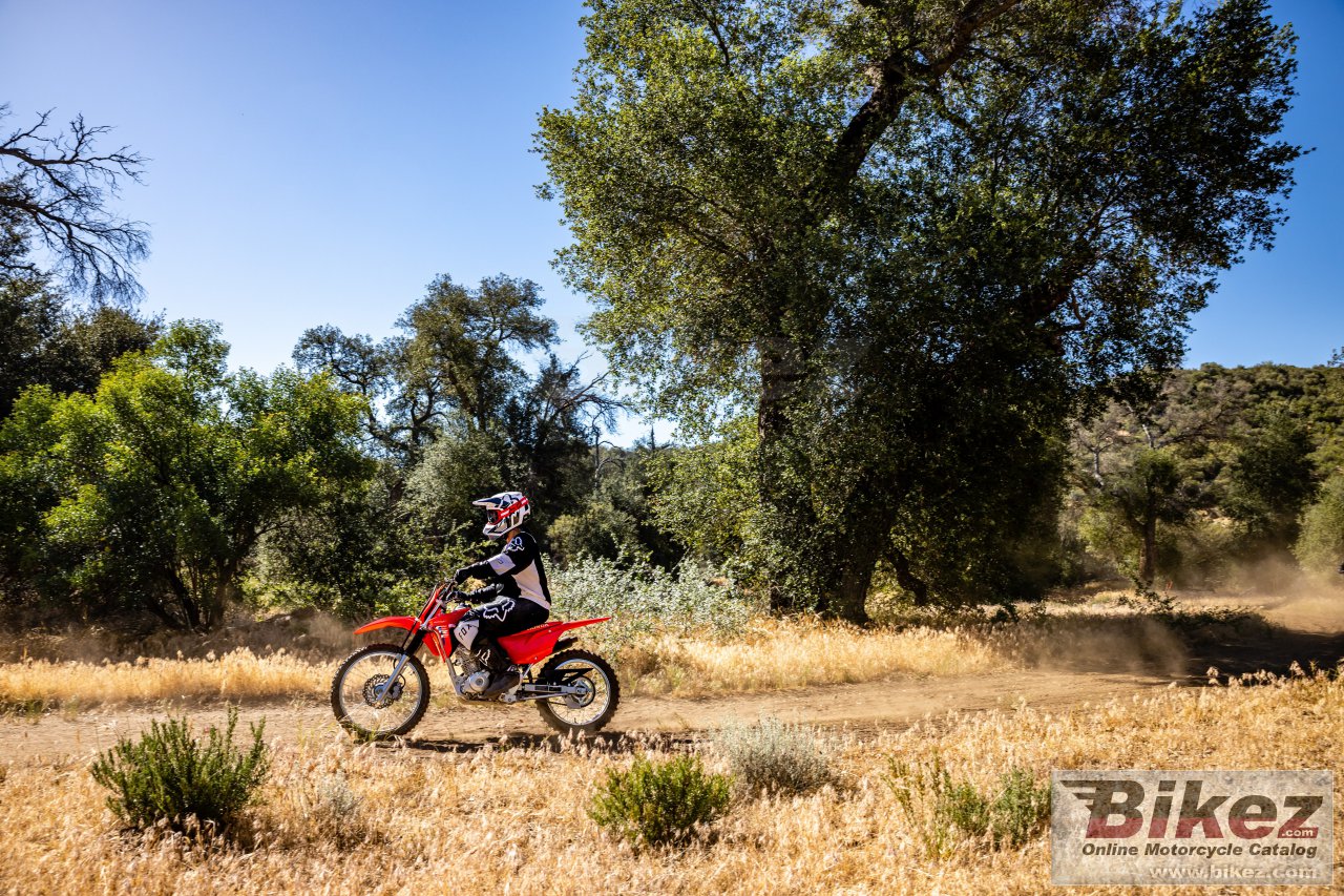 Honda CRF125F