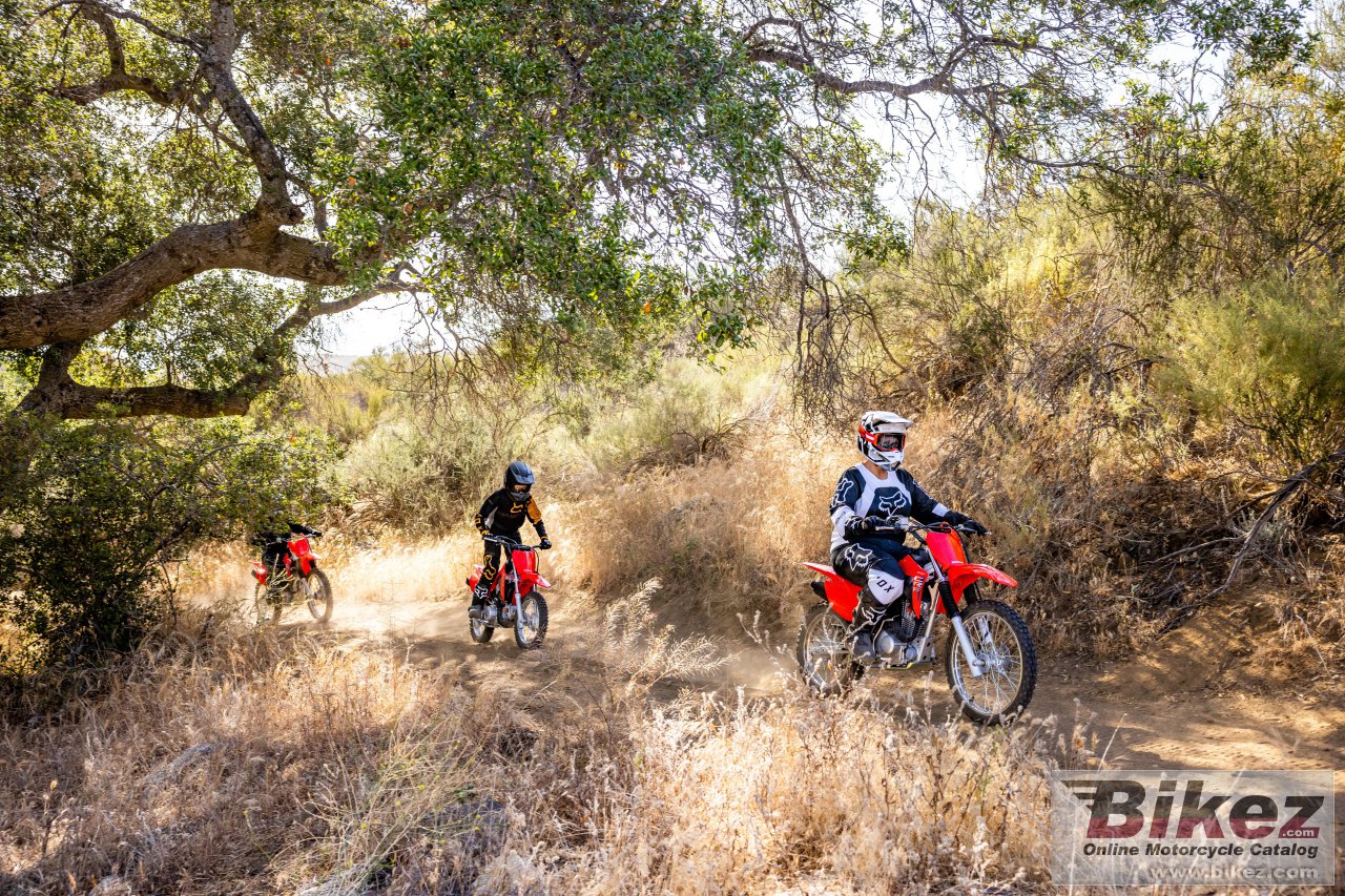 Honda CRF125F