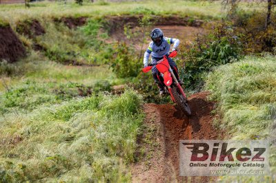2025 Honda CRF250RX