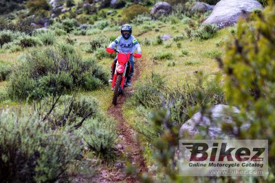 2025 Honda CRF250RX