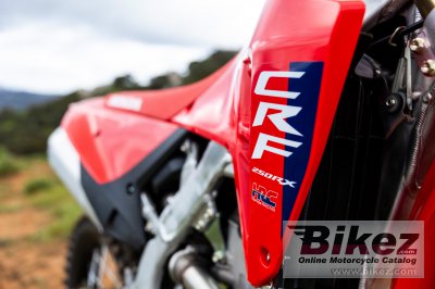 2025 Honda CRF250RX