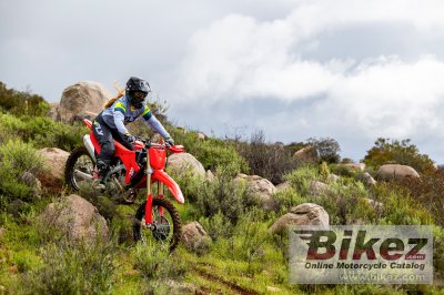 2025 Honda CRF250RX