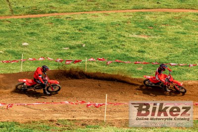 2025 Honda CRF450R