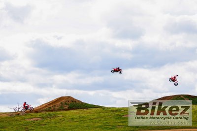 2025 Honda CRF450R