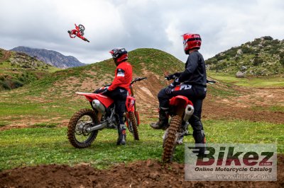 2025 Honda CRF450R