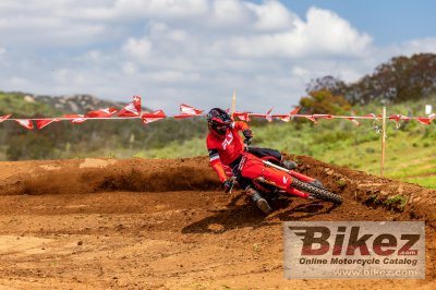 2025 Honda CRF450R
