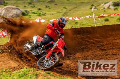 2025 Honda CRF450R