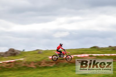 2025 Honda CRF450R
