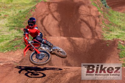 2025 Honda CRF450R