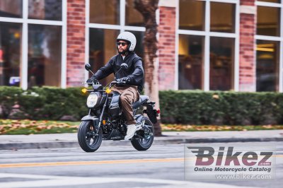 2025 Honda Grom