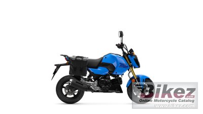2025 Honda Grom