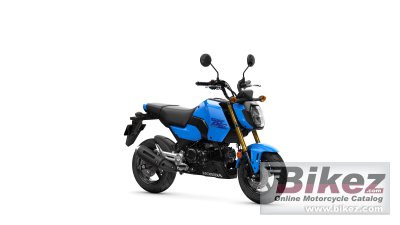 2025 Honda Grom