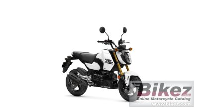 2025 Honda Grom