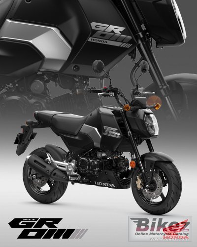 2025 Honda Grom