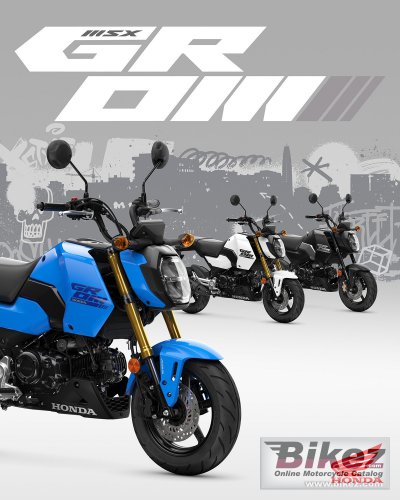 2025 Honda Grom