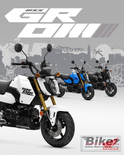 2025 Honda Grom