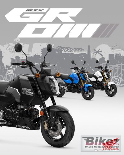 2025 Honda Grom