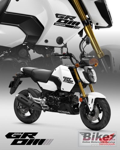 2025 Honda Grom