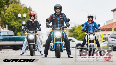 2025 Honda Grom
